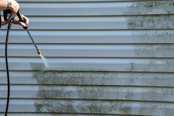 Best Residential Vinyl Siding Installation  in Lake Of The Woods, VA